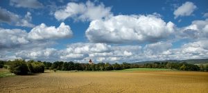 Het belang en de toepassing van quickscan in flora en fauna studie